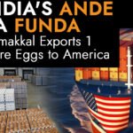 A temperature-controlled container being loaded with boxes of eggs from Namakkal for its historic first export to the United States.