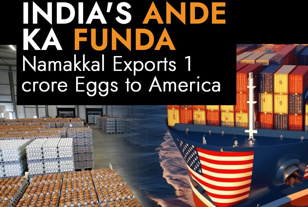 A temperature-controlled container being loaded with boxes of eggs from Namakkal for its historic first export to the United States.